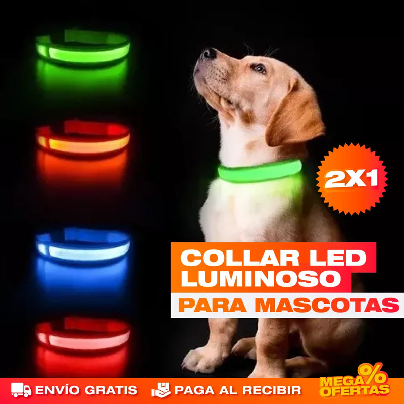 PROMO 2X1 COLLAR LED LUMINOSO PARA PERROS Y GATOS