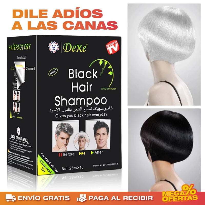 SHAMPOO NATURAL CUBRE CANAS BLACKHAIR™ X10 SOBRES