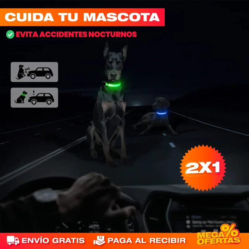 PROMO 2X1 COLLAR LED LUMINOSO PARA PERROS Y GATOS