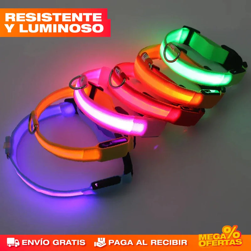 PROMO 2X1 COLLAR LED LUMINOSO PARA PERROS Y GATOS