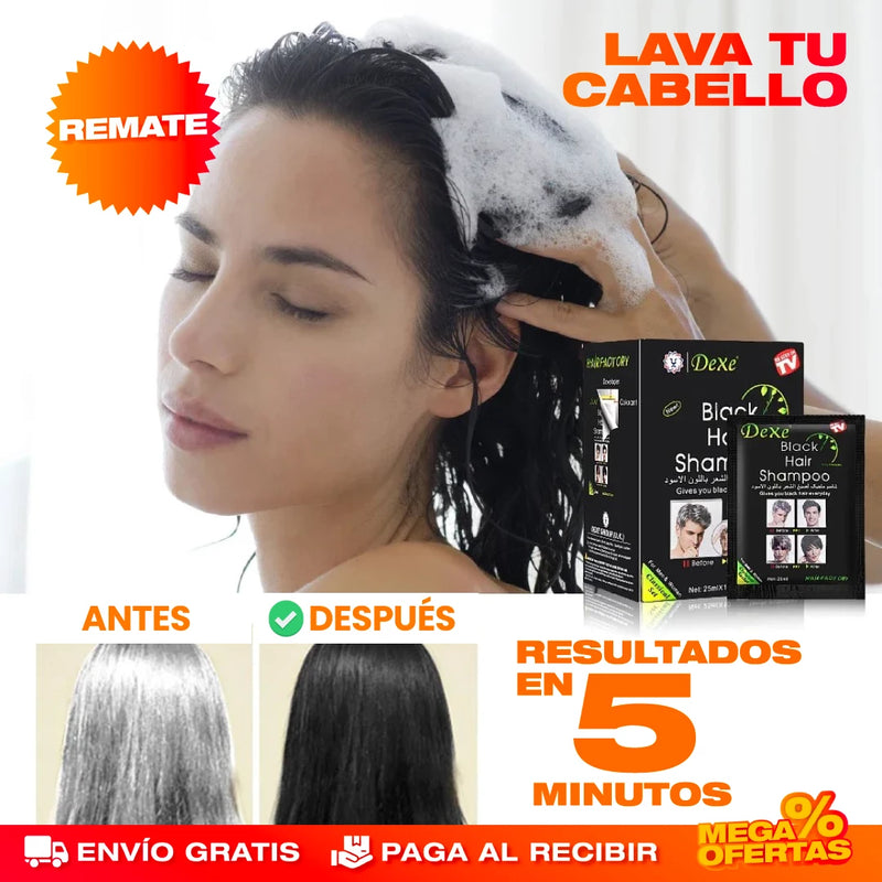 SHAMPOO NATURAL CUBRE CANAS - CAJA X 10 SOBRES