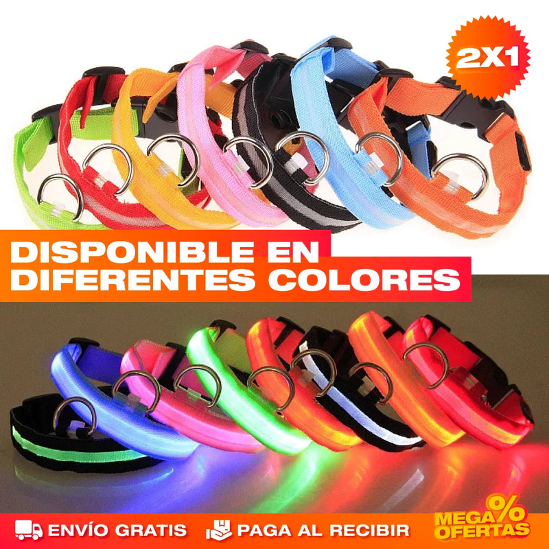 PROMO 2X1 COLLAR LED LUMINOSO PARA PERROS Y GATOS